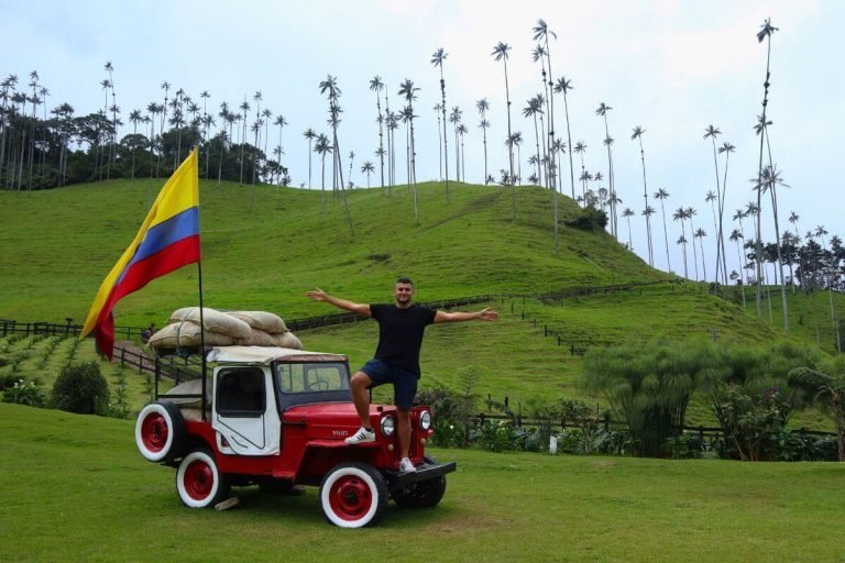 Cocora Valley wax palms – one of the top 10 places to visit in Colombia